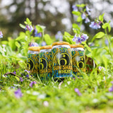 Sun Shade Wheat - 6-pack cans