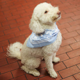 West Sixth Bandana